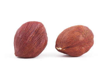 Hazel nut