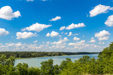 Calm pond and water plants