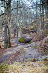 trail with rocks in Vyborg