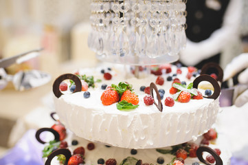 Berry Cake with Chocolate