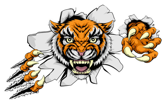 Tiger Attack Concept