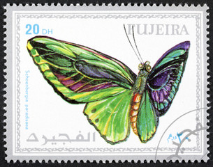 Fototapeta na wymiar FUJEIRA - CIRCA 1972: stamp printed by Fujeira, shows butterfly, circa 1972