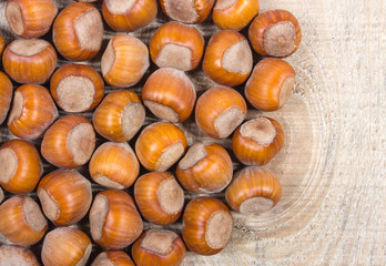 Hazelnuts close up.