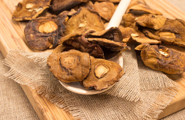 Dried mushrooms on canvas