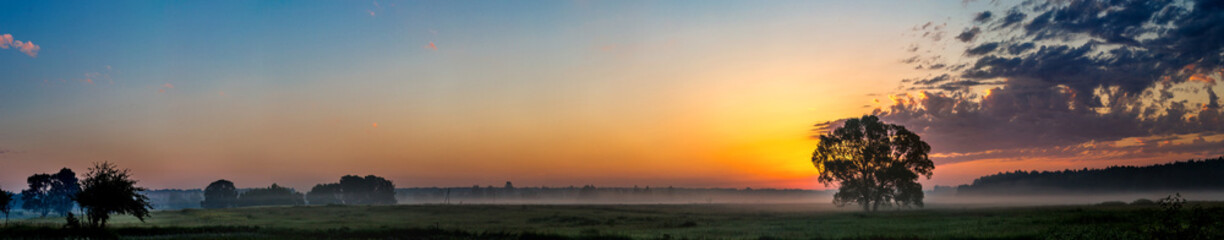 Beautiful sunrise and tree