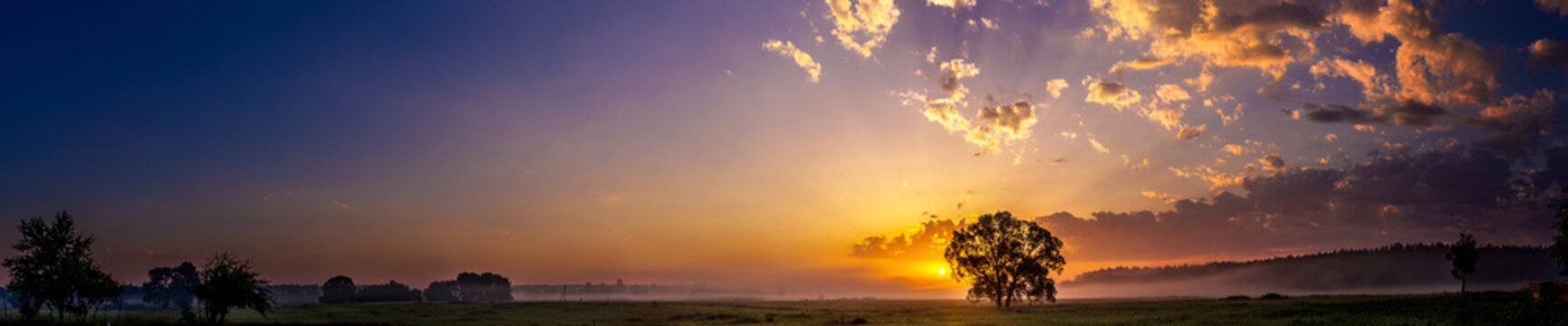 Fototapeta Beautiful sunrise and tree