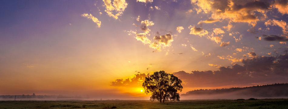 Fototapeta Beautiful sunrise and tree
