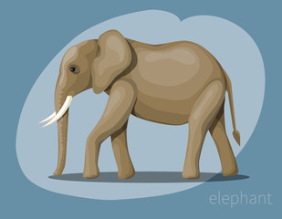 the image of an African elephant