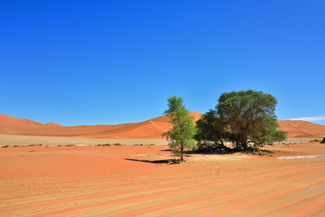 Sossusvlei, Namib Naukluft National Park, Namibia