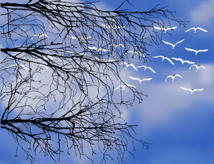 bare branches and flying swans on blue sky background