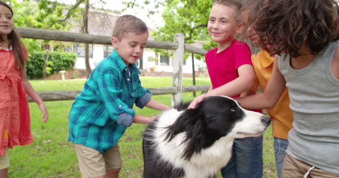 Little boys playing with a Border Collie dog in park