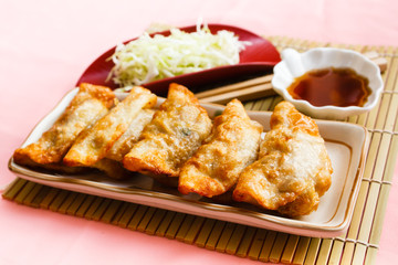 Fried Dumpling - Gyoza.