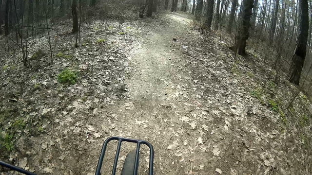 
Spring trip by bicycle on park or wood in  sunny day. Forward wheel

