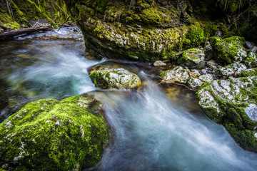 Rivière de montagne