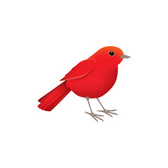 bird vector icon