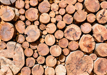 stack of wood background