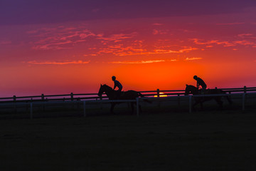 Fototapeta na wymiar Horses Riders Dawn Sunrise training track silhouetted.
