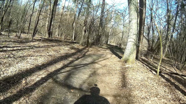 Fast driving the bicycle on the wood. POV clip