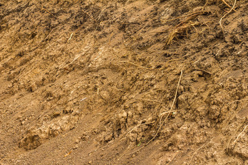 Dig the soil barren.