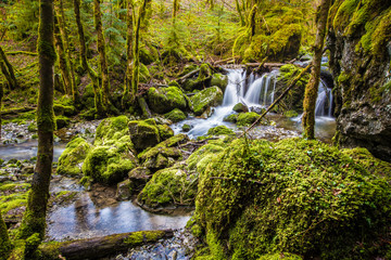 Naklejka premium Nature et verdure