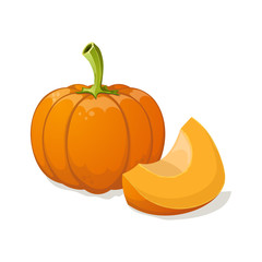 Pumpkin isolated on white. Vector illustration