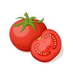 Tomatoes on a white background. Vector illustration