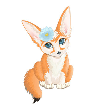 Fennec fox vector illustration