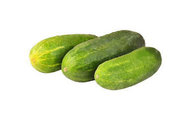 Green cucumber gherkin