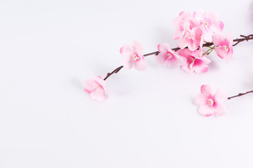 The plastic sakura on white background, isolated