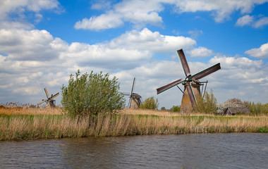 Naklejka premium Windmills