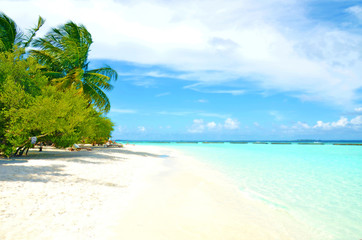 tropical beach paradise