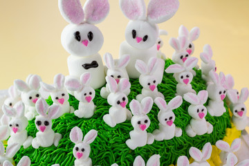 Easter bunny cake.