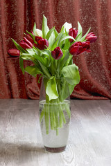 Red and white tulips in glass vase