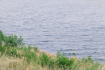 Small grove in water