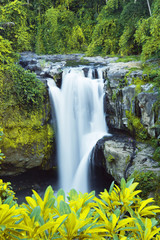 waterfall in jungles © night_cat