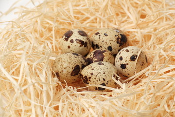 Quail eggs in a nest of hay./Quail eggs in a nest of hay.