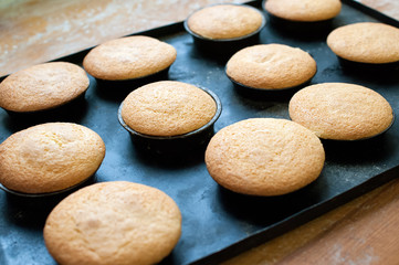 Fresh Baked Plain Muffins Cooling on Baking Pan