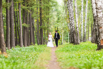 Fototapeta premium Bride and groom holding hands outdoors