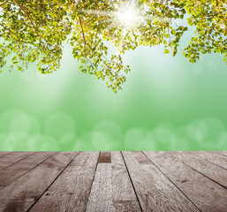 Wooden table top on green tree with blurred light bokeh