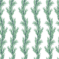 Rosemary seamless pattern.