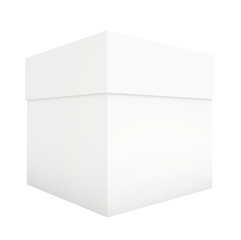 Blank paper or cardboard box template standing on white background