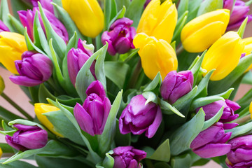 Purple and yellow tulip bouquet. More tulip on the grey backgrou