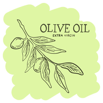 Olive branch hand drawn sketch is a great design element for olive oil products.