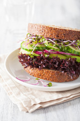 avocado cucumber sandwich with onion and radish sprouts