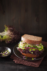 avocado cucumber sandwich with onion and radish sprouts