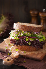 avocado cucumber sandwich with onion and radish sprouts