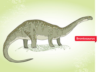 Vector illustration of Apatosaurus or Brontosaur or deseptive lizard on the green background. Series of prehistoric dinosaurs. Fossil animals and reptiles in contour style.