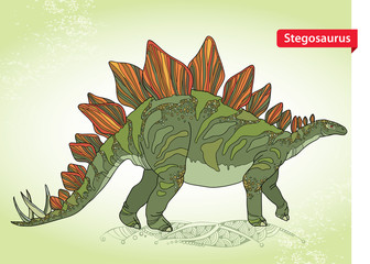 Vector illustration of Stegosaurus armatus or covered lizard on the green background. Series of prehistoric dinosaurs. Fossil animals and reptiles in contour style. © bokasana