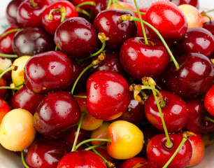 Cherry with leaves isolated on white