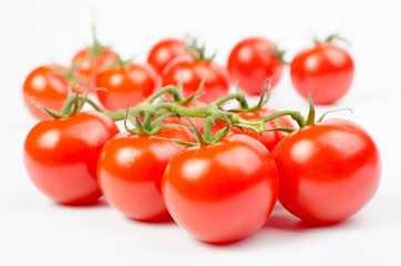 photo of very fresh tomatoes presented on white background
